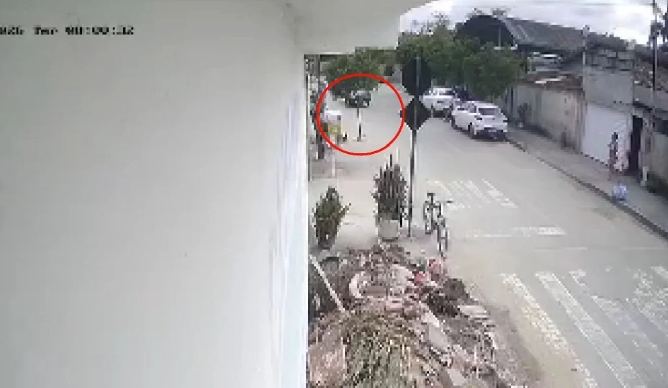 Homem mata cachorro com chute em Aracruz; Polícia investiga o caso