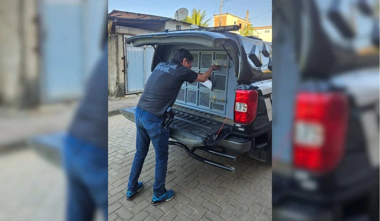 ES: Homem é preso suspeito de usar rosto de idoso para desviar R$ 6 mil