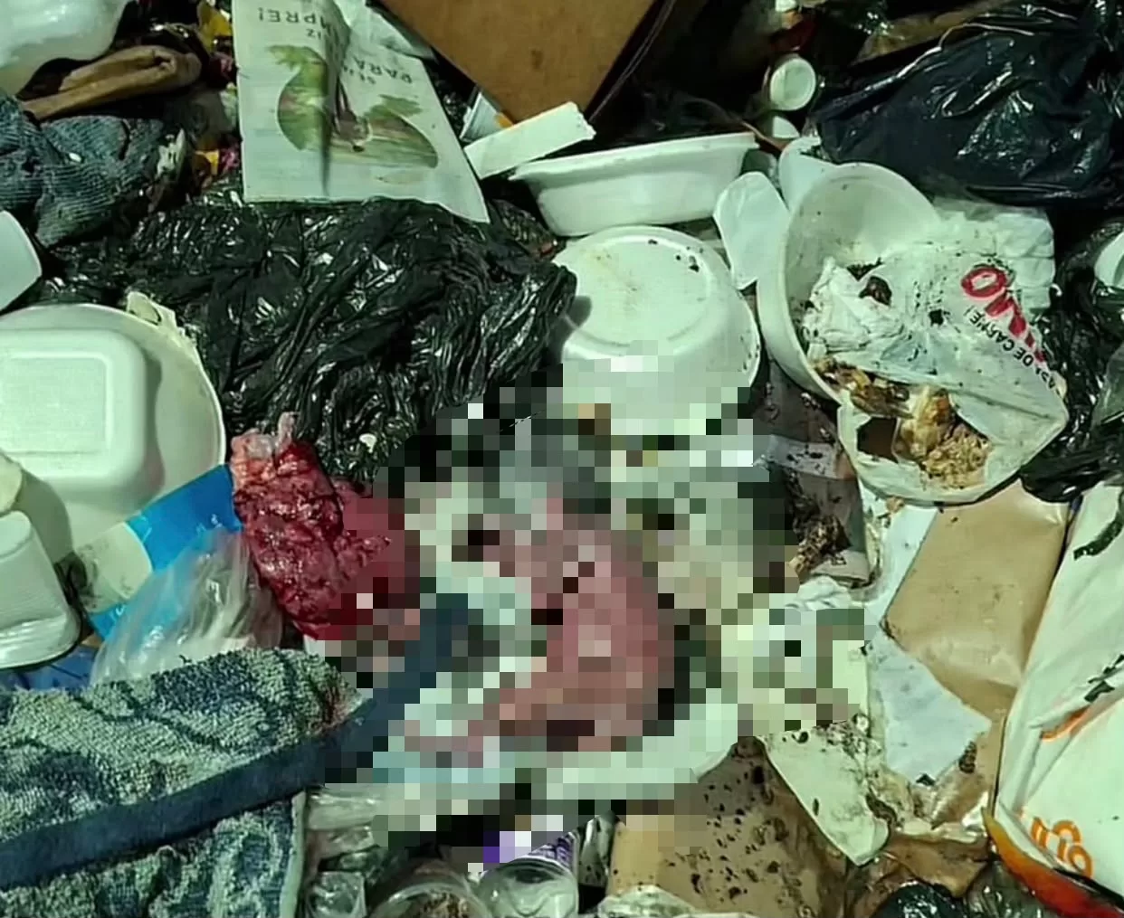 Garis encontram feto humano em saco de lixo no Centro de Manaus